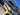 IIQ - Image