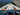 IIQ - Image