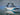 IIQ - Image