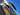 IIQ - Image