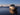 IIQ - Image