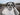 2021 Chaparral 267 SSX 26.583 feet, Oro Medonte, Ontario #4
