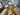 2026 Revel RS25 25.0 feet, Bracebridge, Ontario #6