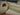 2023 Chris-Craft GT 25 Stern Drive 25.0 feet, Bracebridge, Ontario #18
