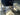 2000 Chaparral 200 SSE 20.0 feet, Eganville, Ontario #10