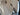 2009 Sea Ray 230 Select 50th Anniversary 23.0 feet, Bracebridge, Ontario #9